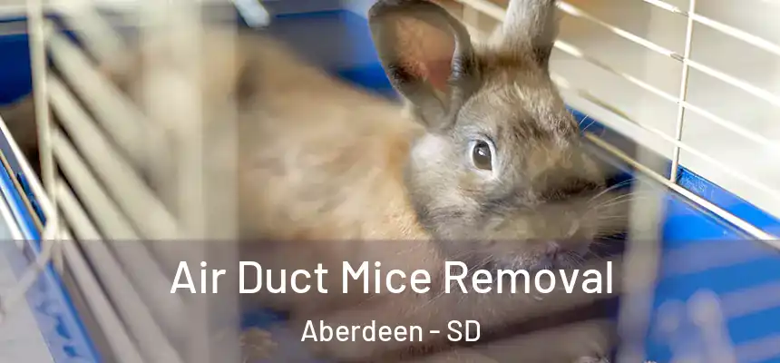  Air Duct Mice Removal Aberdeen - SD
