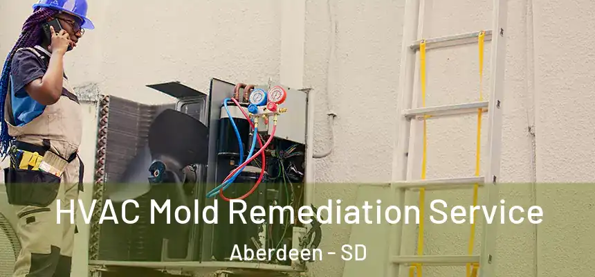  HVAC Mold Remediation Service Aberdeen - SD