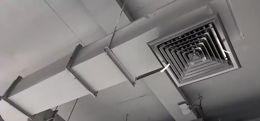 Our Pest Removal From Ducts Services in Aberdeen, SD