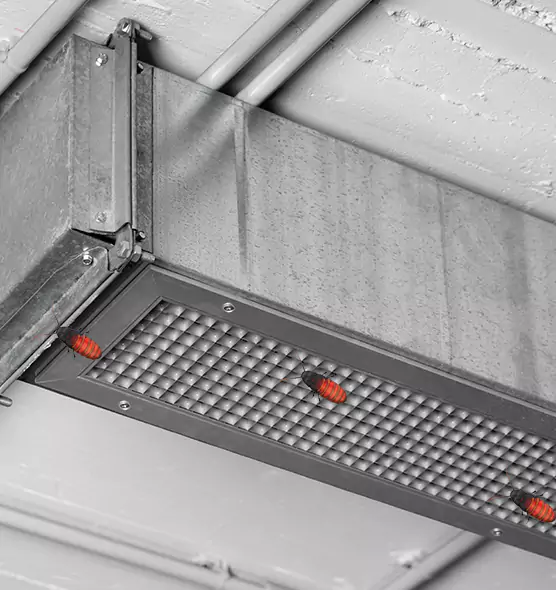 About Air Duct Cockroach Removal in Aberdeen, SD