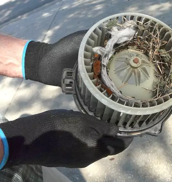 About Air Duct Mice Removal in Aberdeen, SD